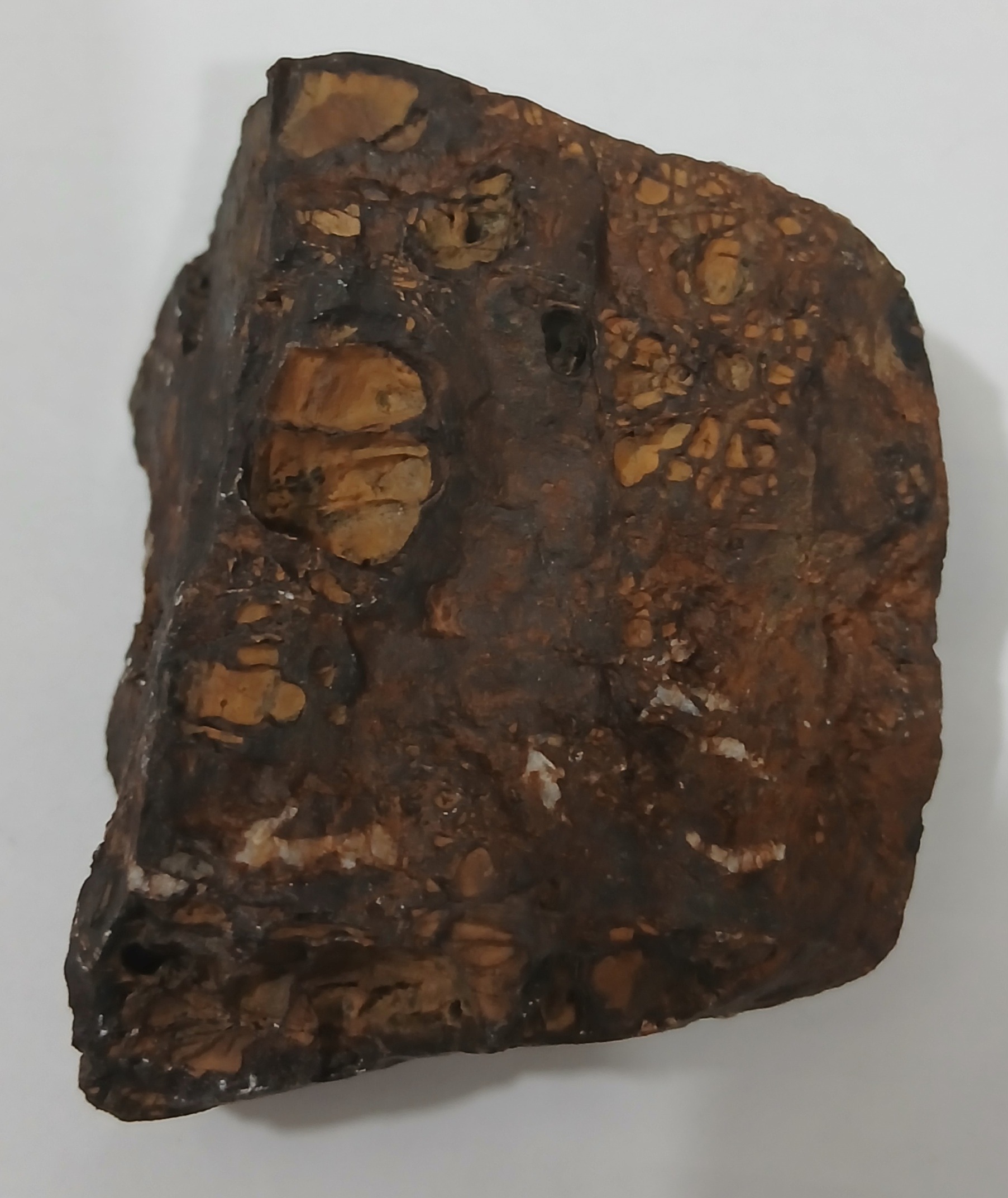 سنگ مشکوک به شهاب سنگ