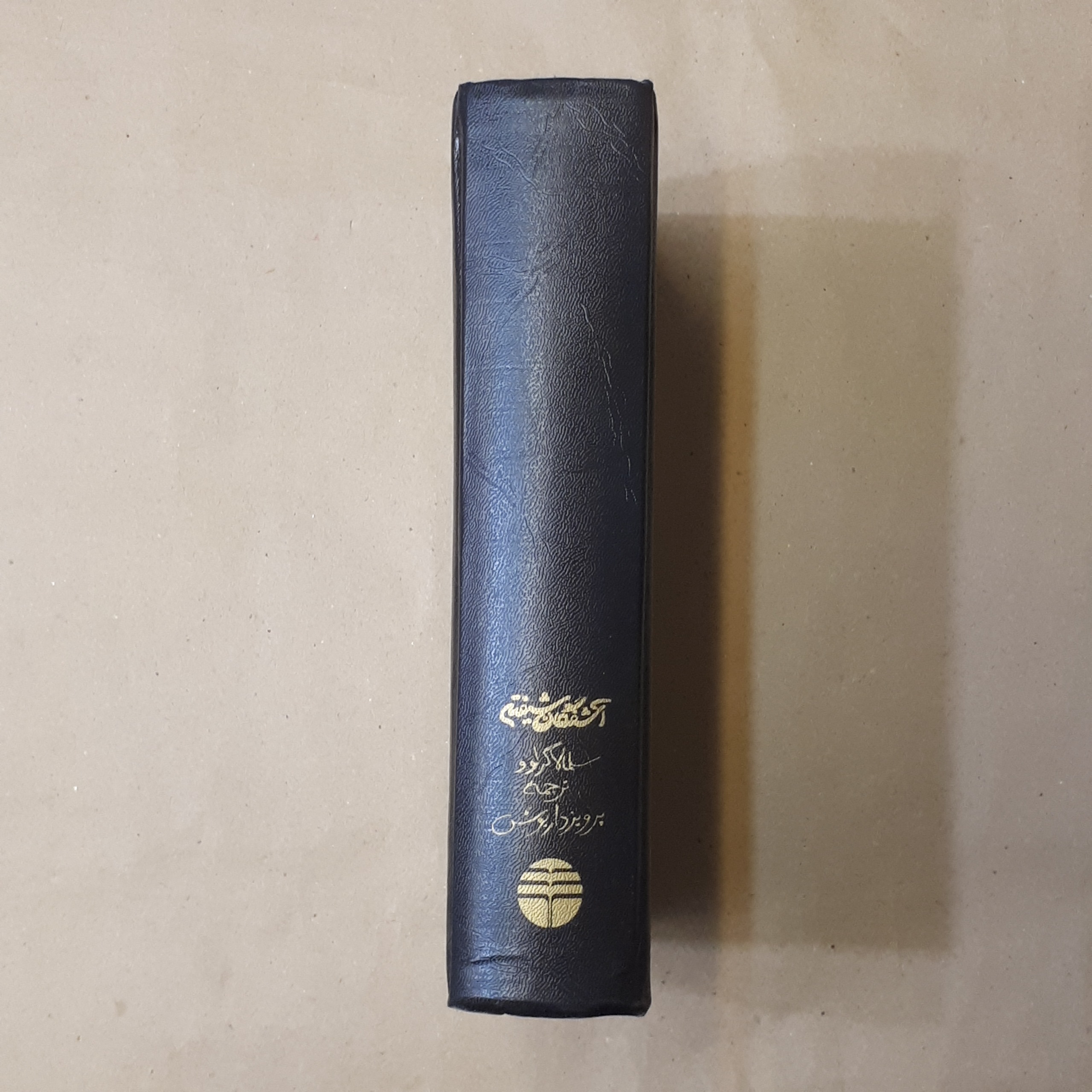 آشفتگان شیفته سلمالاگرلوو