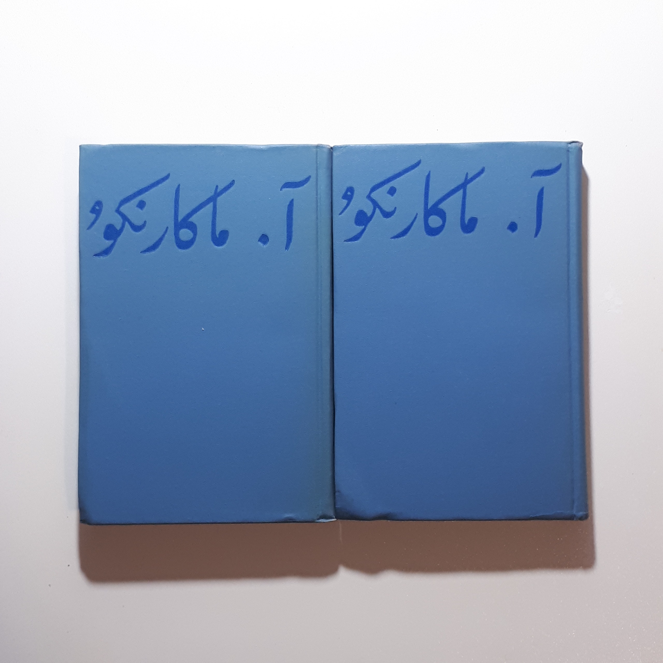 داستان پداگوژیکی، ماکارنکو