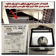 سردخانه