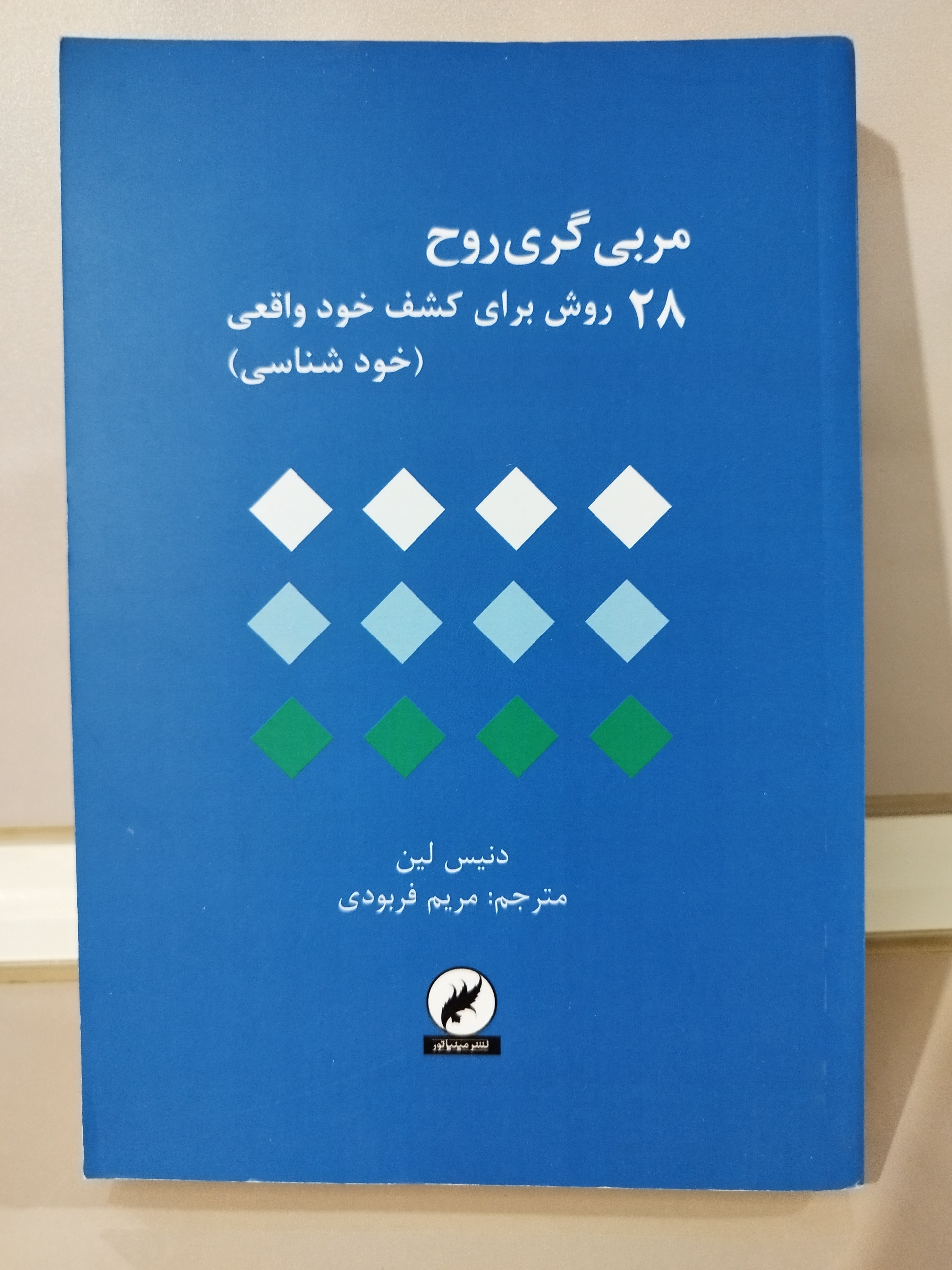 مربی گری روح