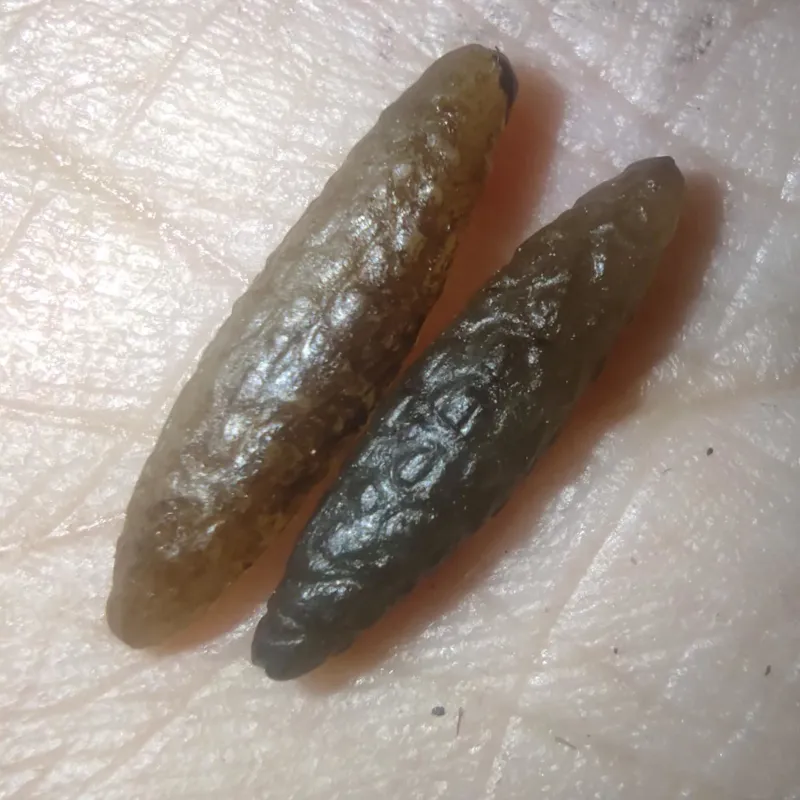 مهره کارایی دار شرطی