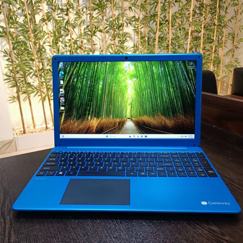 لپ تاپ | Gateway C315 | Core i3-1115G4
