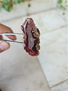 راف