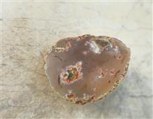 راف