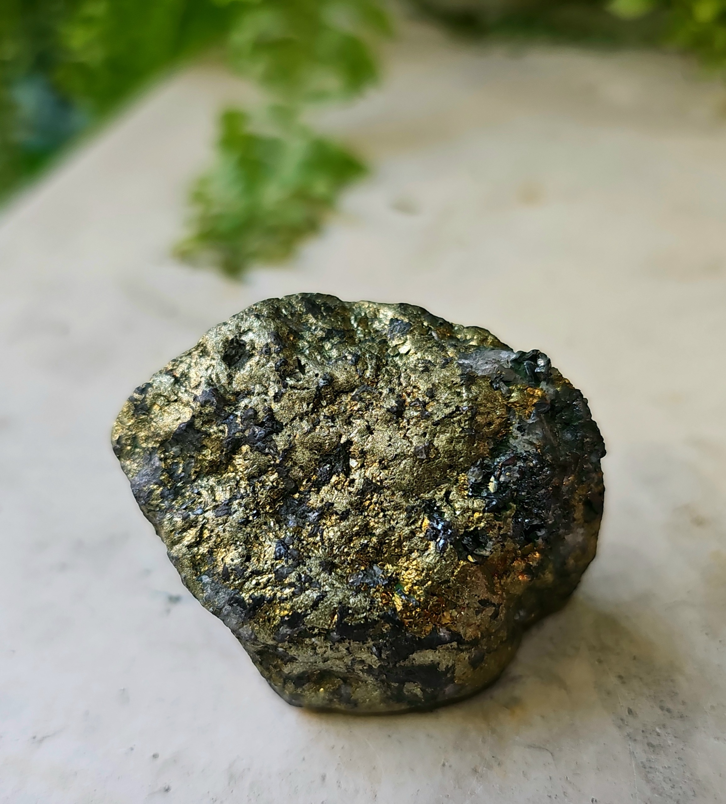 راف کلسیونی پیریت در بستر کواتز