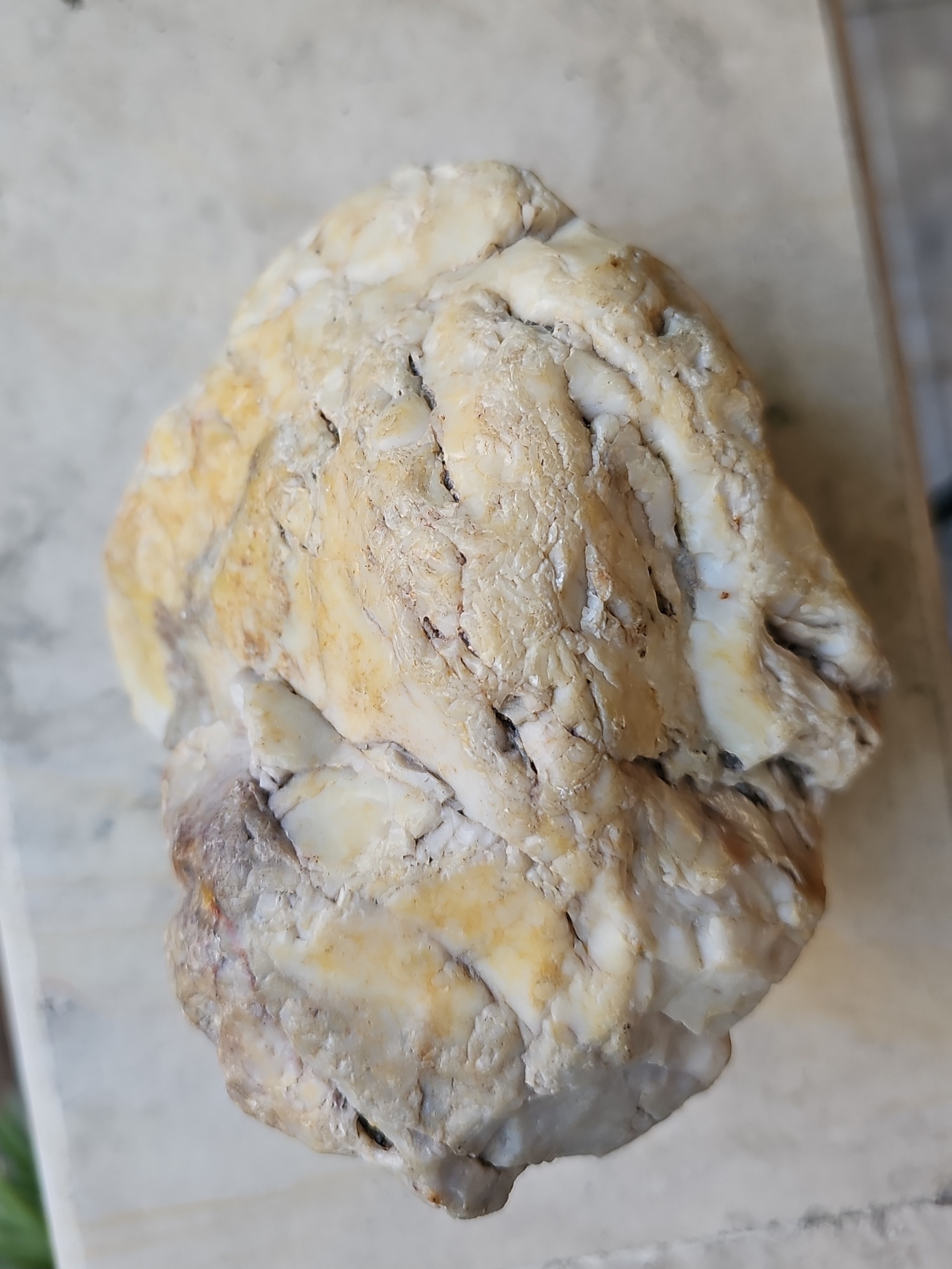 راف کلکسیونی سنگ طبیعی مرمر