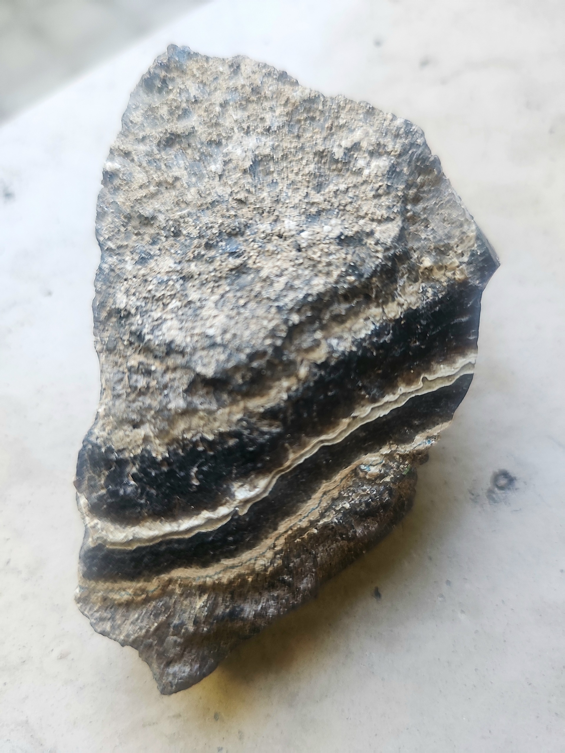 راف  کلکسیونی سندلوس