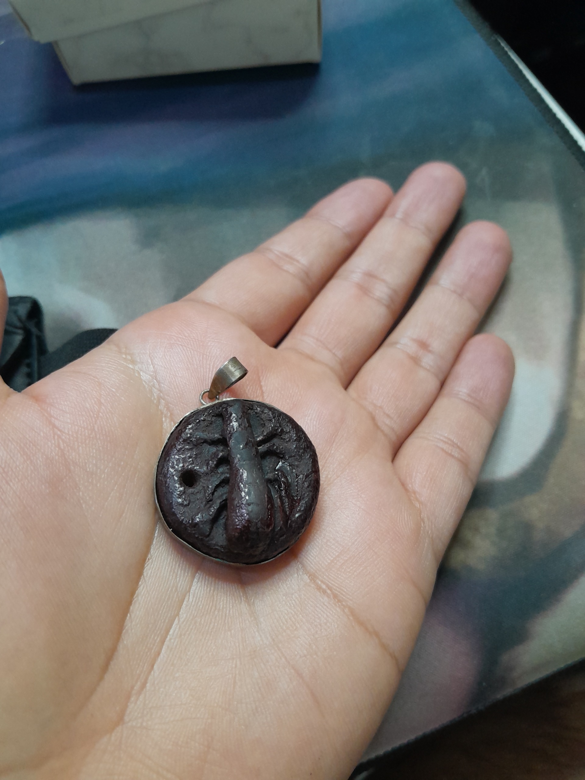 هبهاب خونی دار با رکاب نقره