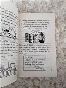 Diary