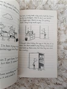 Diary