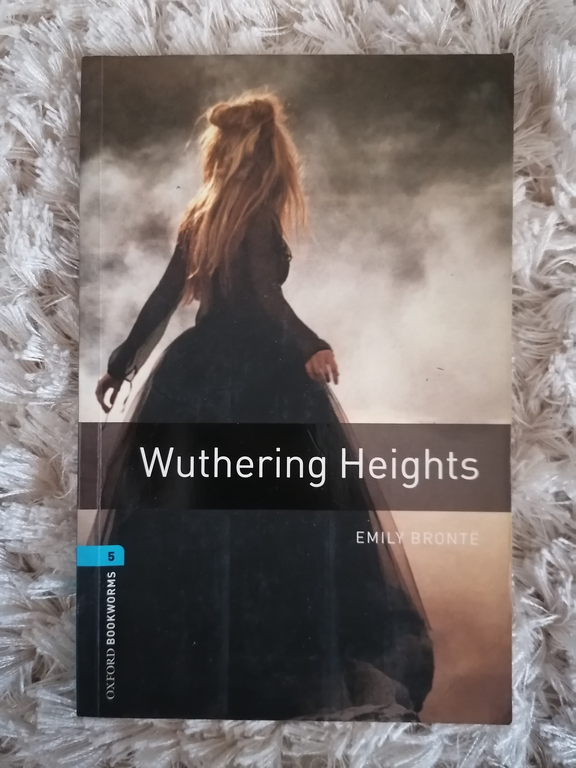 داستان انگلیسی بلندی های بادگیر wuthering heights