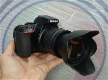 نیکون