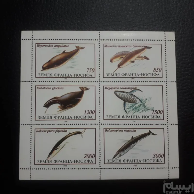 تعداد 1 سوینر شیت تمبر آبزیان 1996