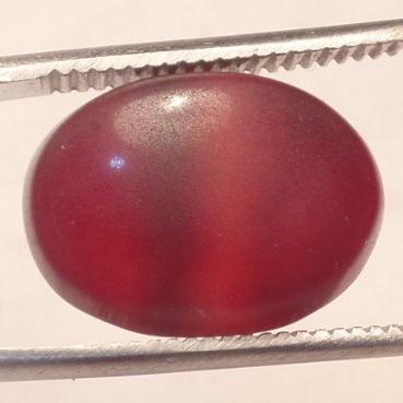 نگین عقیق شفة العبد