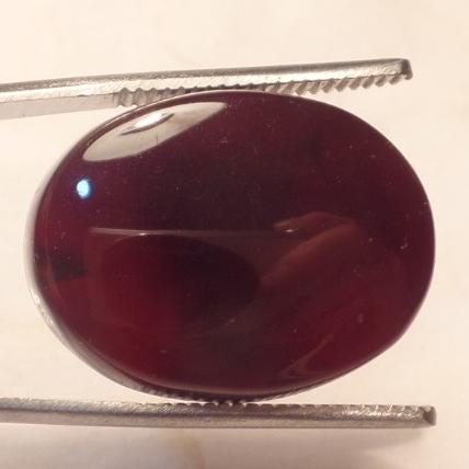 نگین عقیق شفة العبد