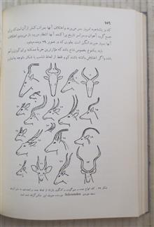 پیدایش