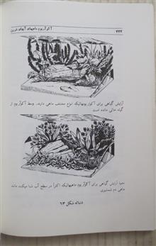 آکواریوم