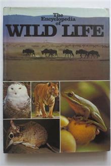 Encyclopedia