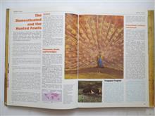 Encyclopedia