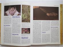 Encyclopedia