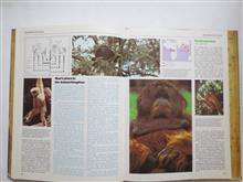 Encyclopedia