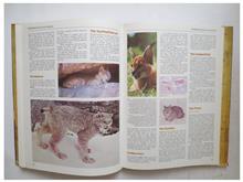 Encyclopedia