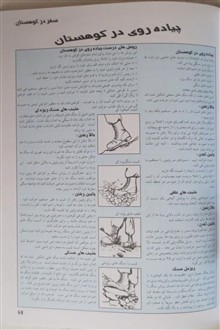 هنر