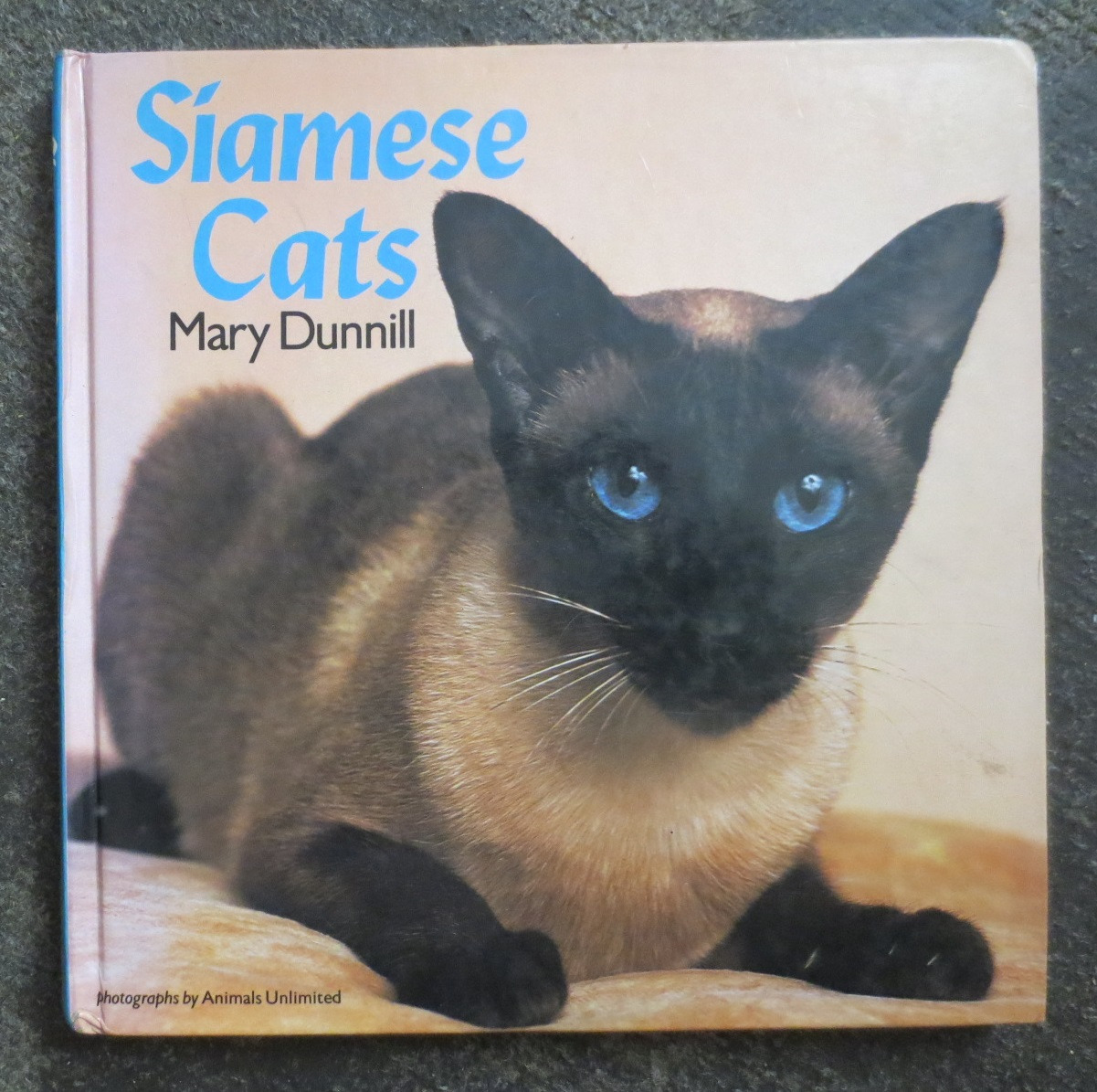 Siamese Cats گربه ها ( رنگی گلاسه هاردکاور )