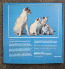 Siamese
