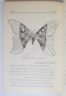 منحنی