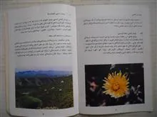 مجموعه