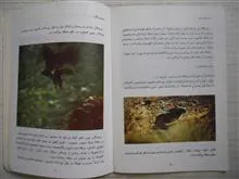 مجموعه
