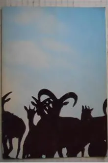 مجموعه