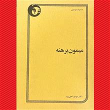 میمون