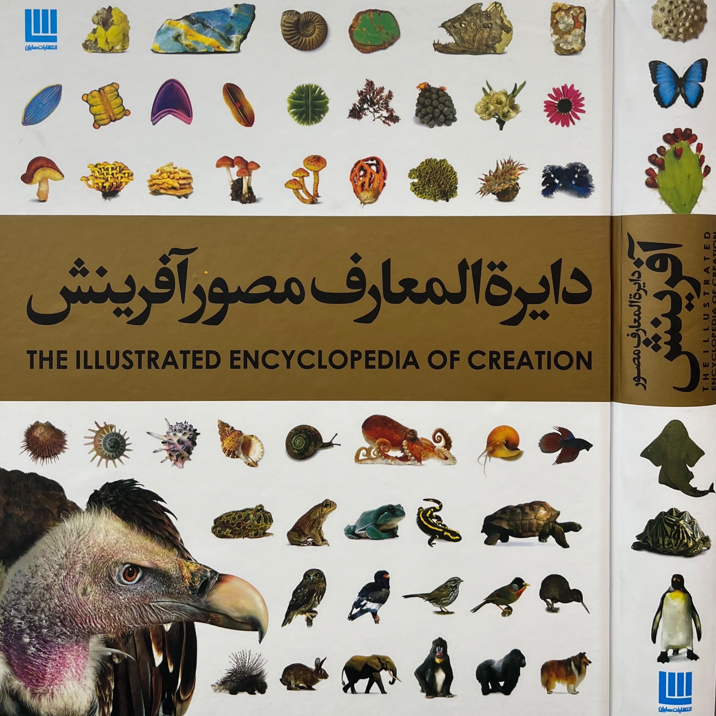 دایرة المعارف مصوّر آفرینش