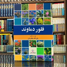 فلور