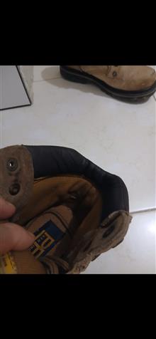بوت