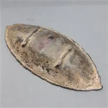 ظرف