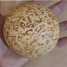 گوهر