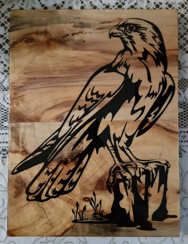 عقاب در طبیعت