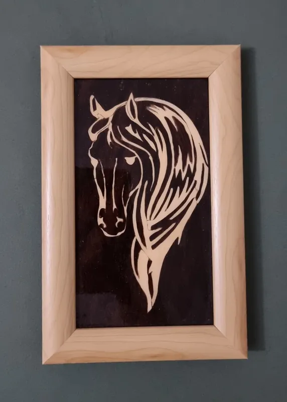 اسب جوان زیبا