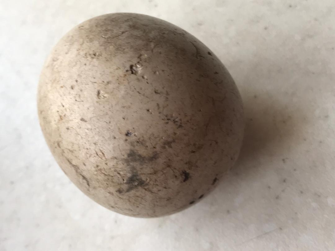 سنگ اسیاب قدیمی