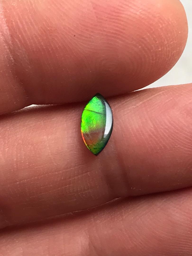 نگین امونیت فسیل