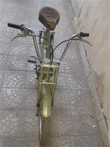 موتور