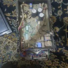 برد