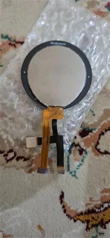 السیدی