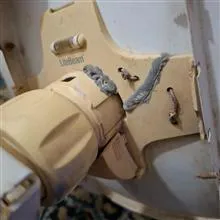 دیش