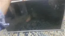 تلویزیون