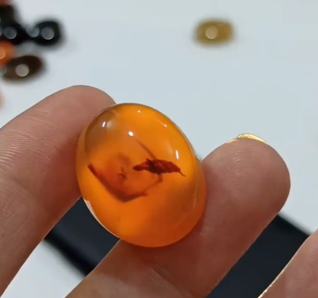 عقیق یمن پرتقالی مصور عکس گنجشک روقفس